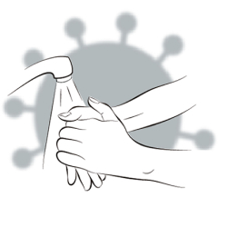 Hände gründlich waschen – mindestens 20 Sekunden